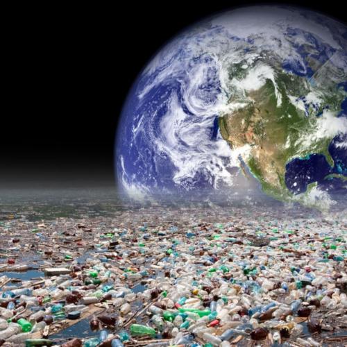 Ученые создали фермент, расщепляющий пластиковые отходы за считанные дни