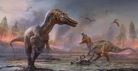 Палеонтологический сюрприз: ученые обнаружили в Китае яйца динозавров мелового периода