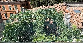 Самый маленький в мире виноградник производит всего 29 бутылок вина в год, и его нельзя пить
