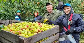 Урожай яблок на Ставрополье больше прошлогоднего в полтора раза