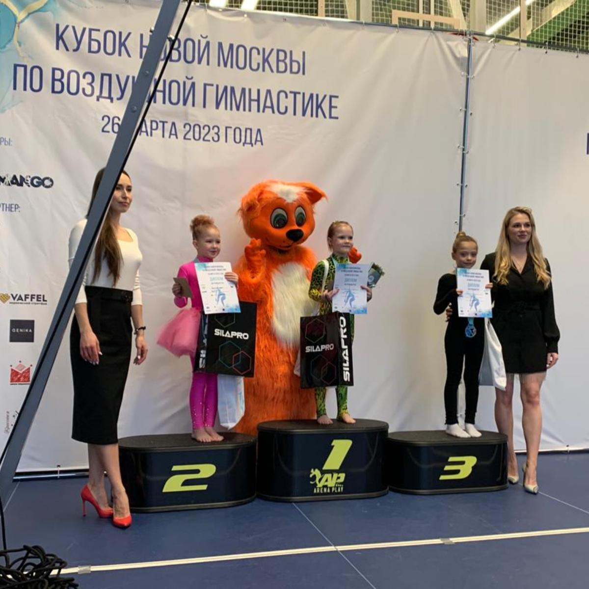 Рыжие коты поддержали участников Кубка Новой Москвы по воздушной гимнастике