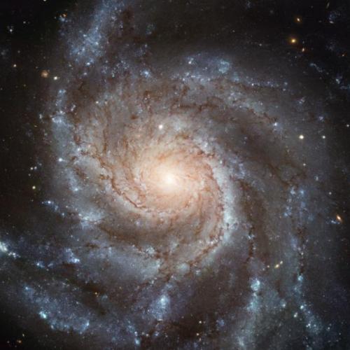 В галактике Pinwheel взорвалась сверхновая звезда: Это самая близкая сверхновая за последние 7 лет