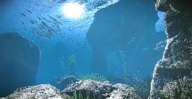 В Тихом океане обнаружены четыре подводные горы