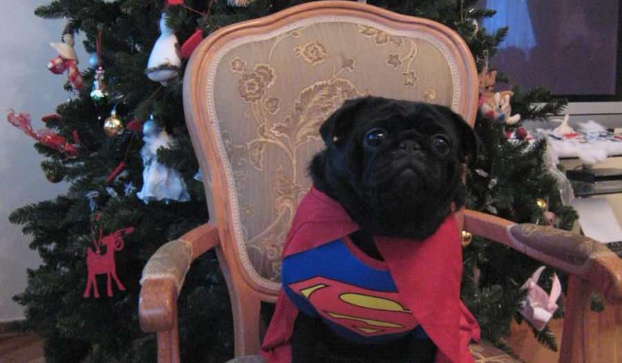 похудение донцова