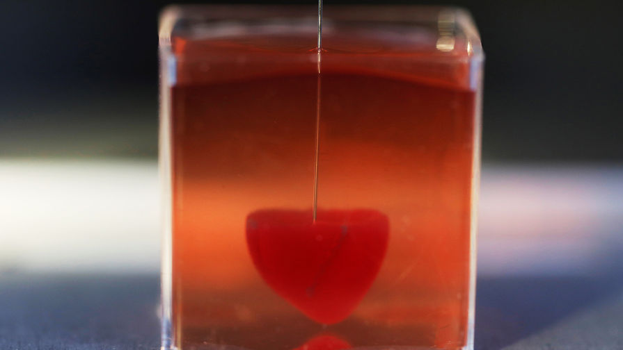 Сердце, напечатанное 3D принтером