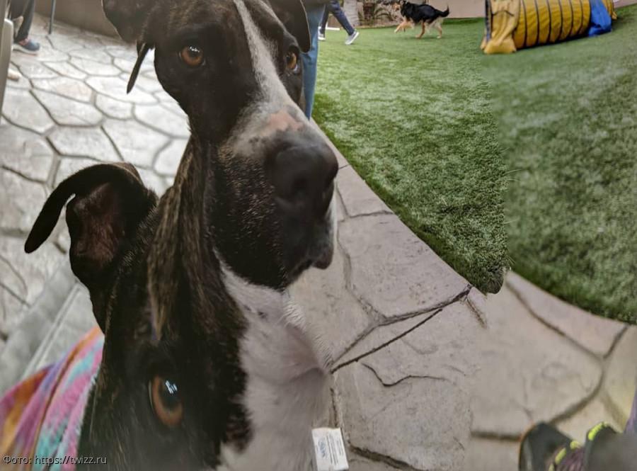 смешные милые фото