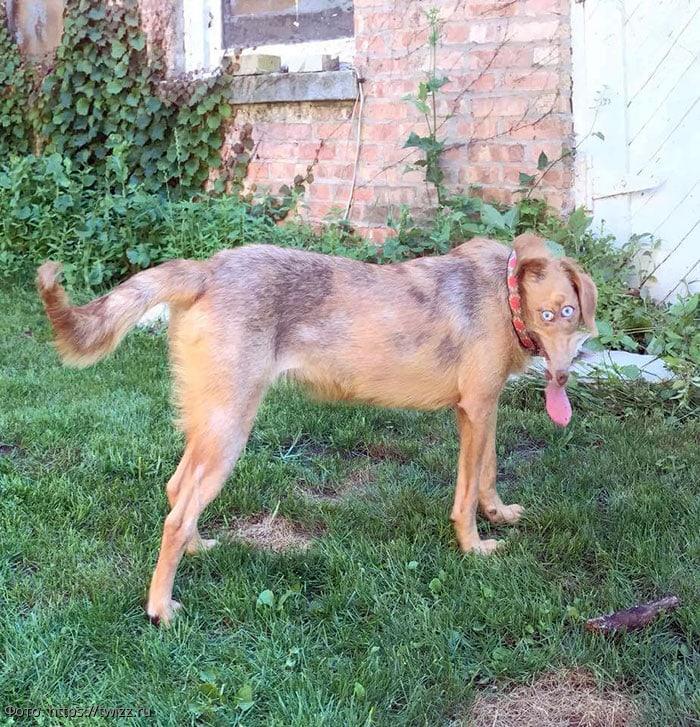 забавные фото