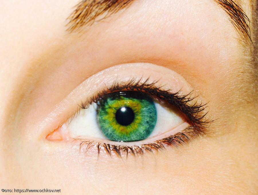 зеленый цвет глаз 