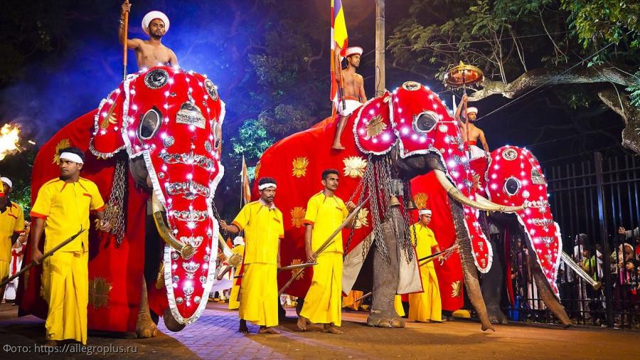 Слон наряженный к празднику зуба Будды