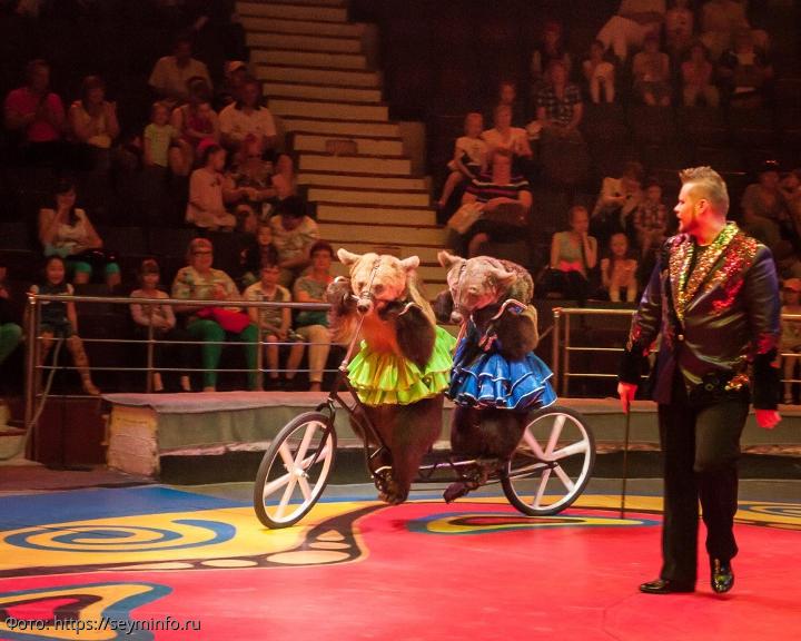 Представление