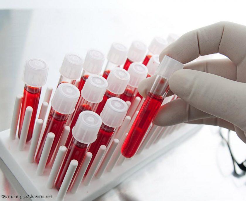 анализ крови аминокислоты 