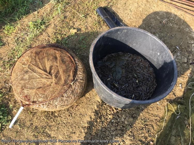 браконьерство фсб