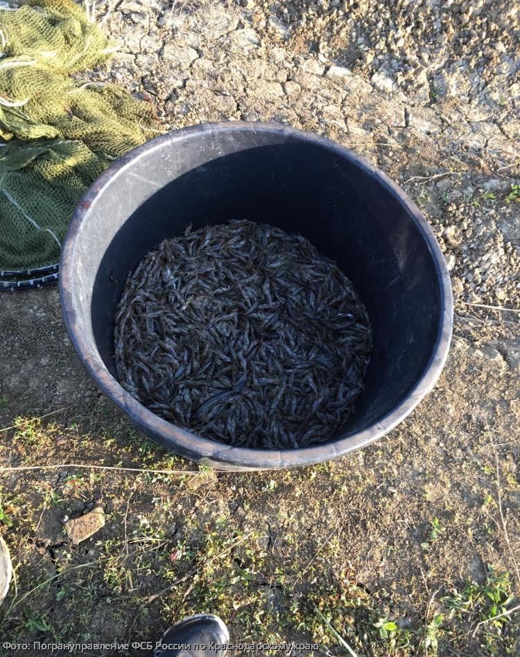 биоресурсы штраф