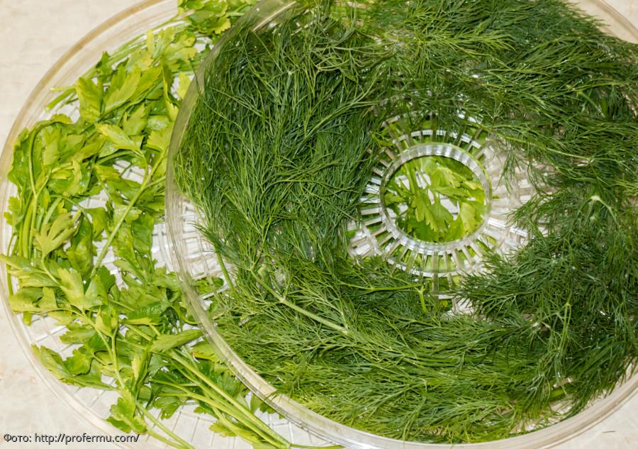 электросушилка 