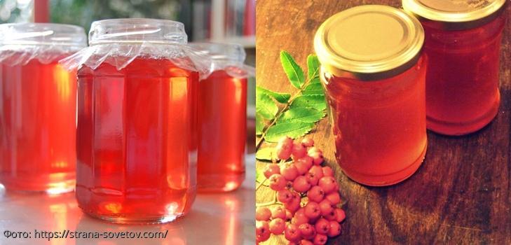 компот из красной рябины 