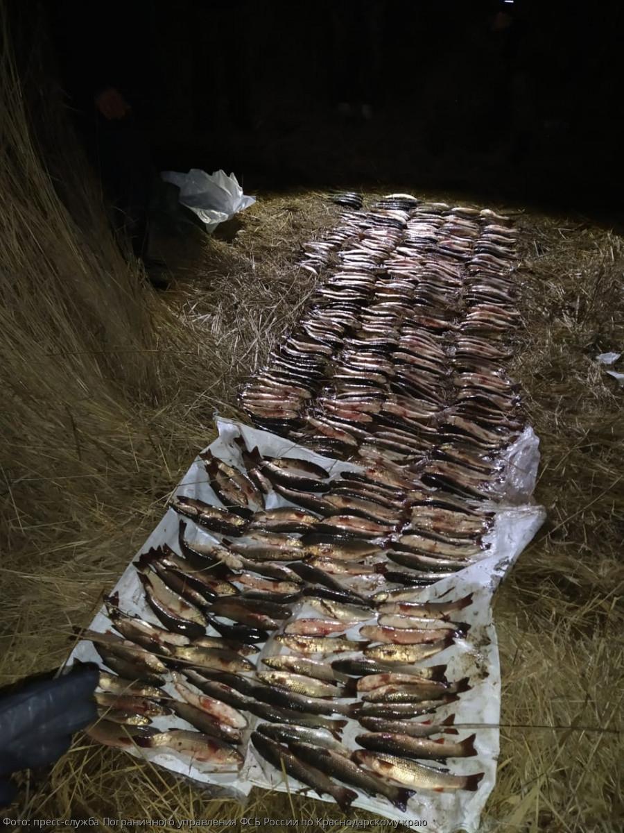 биоресурсы погрануправление