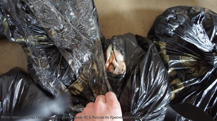 краснодарский край