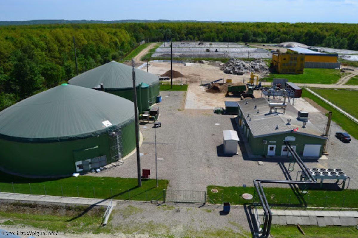 экология постпандемия