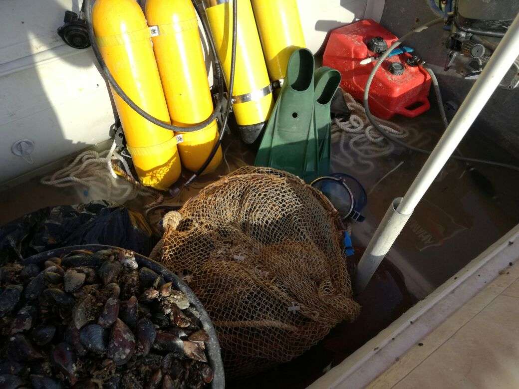 пу фсб россии