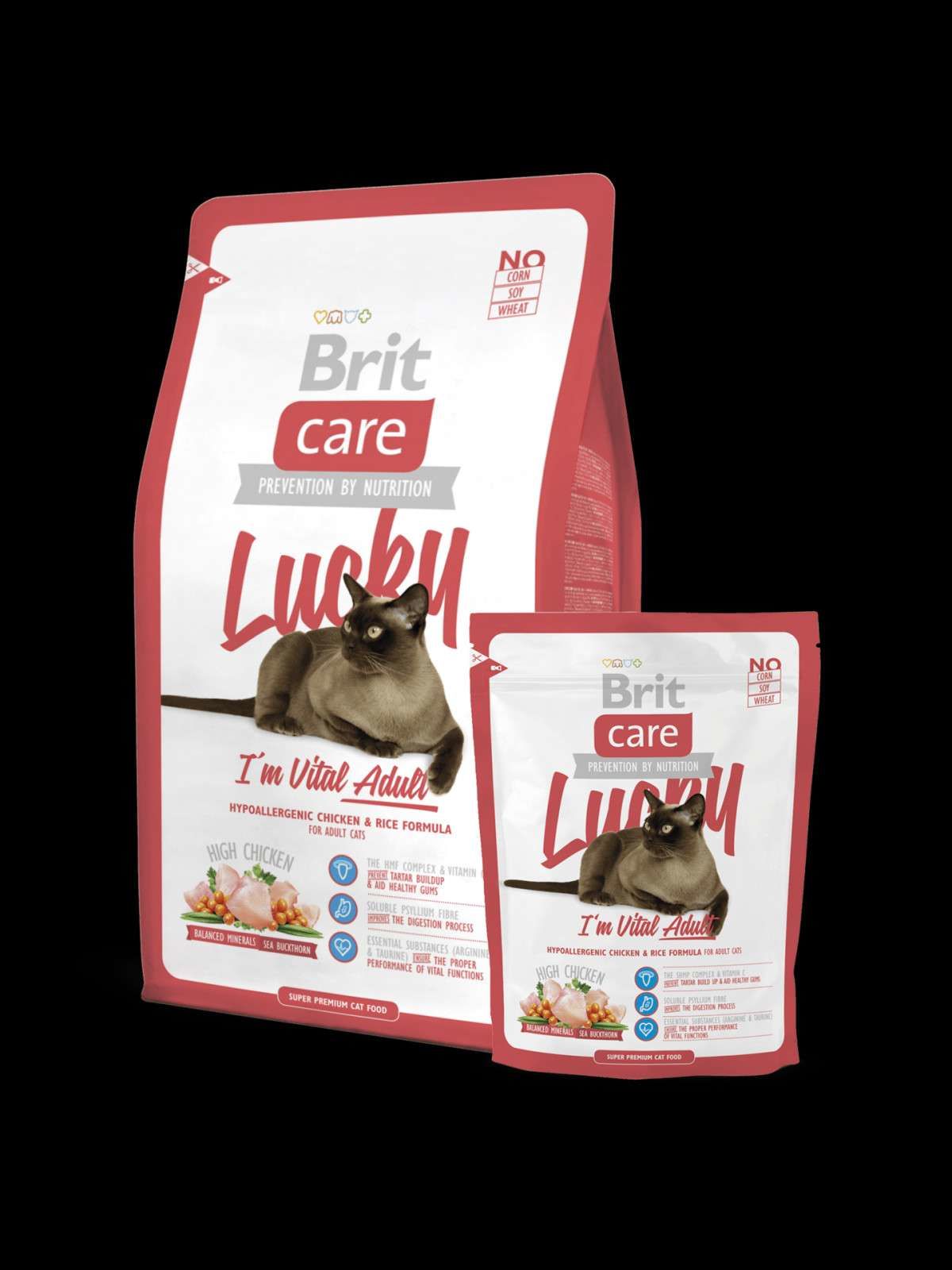 Брит каре для кошек. Брит корм для кошек холистик. Brit Premium by nature, Adult m 15kg. Brit Care Fish Dreams. Brit Care с курицей без глютена.