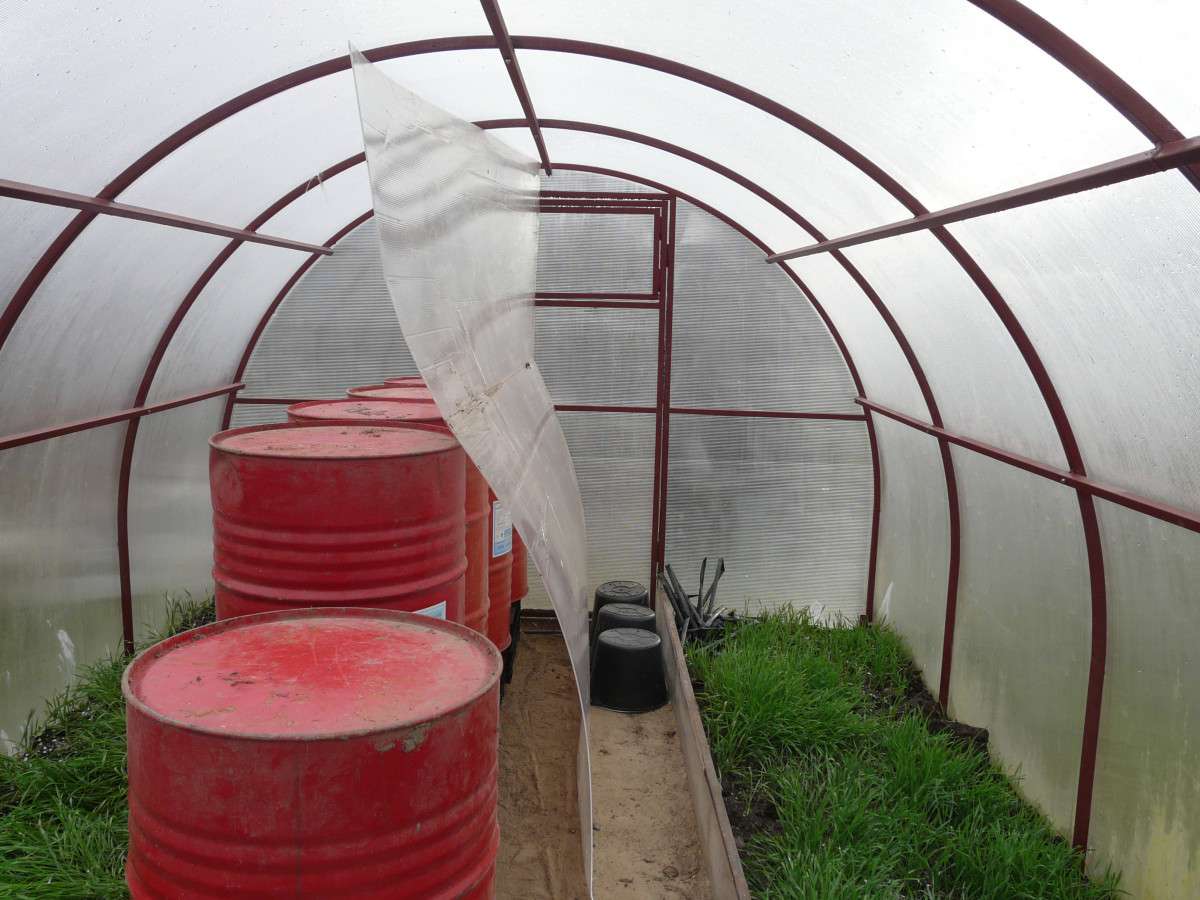 Какую толщину поликарбоната выбрать для теплицы