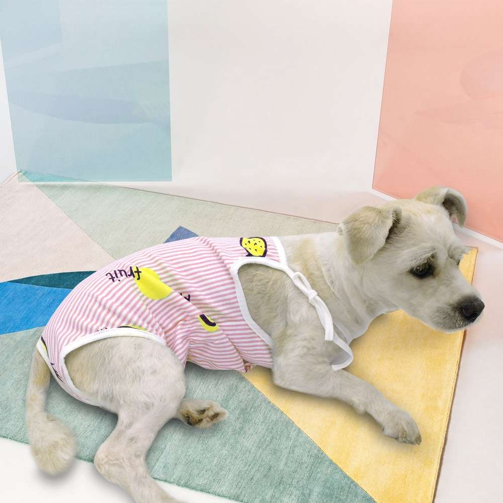 Обзор популярных марок производителя пеленок для собак: ТОП-5