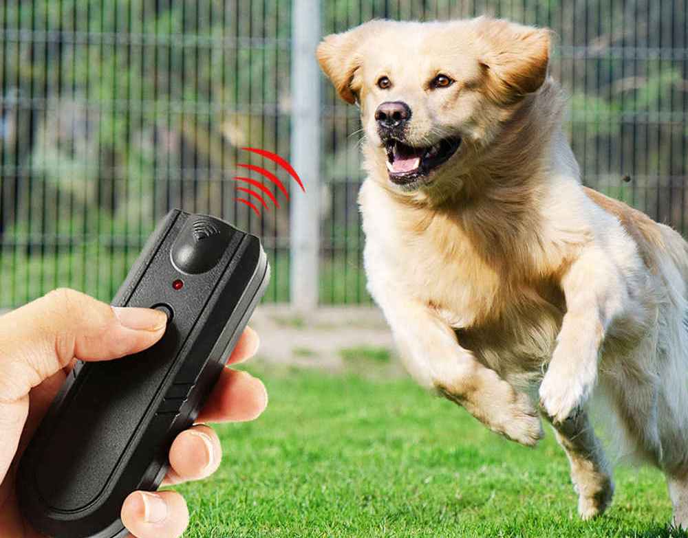 ТОП-10 самых эффективных отпугивателей для собак 