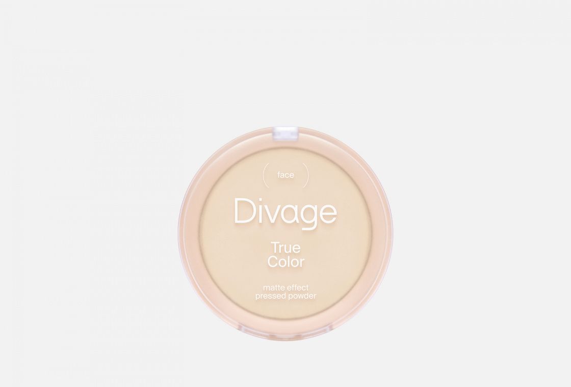 DIVAGE Пудра компактная True Color