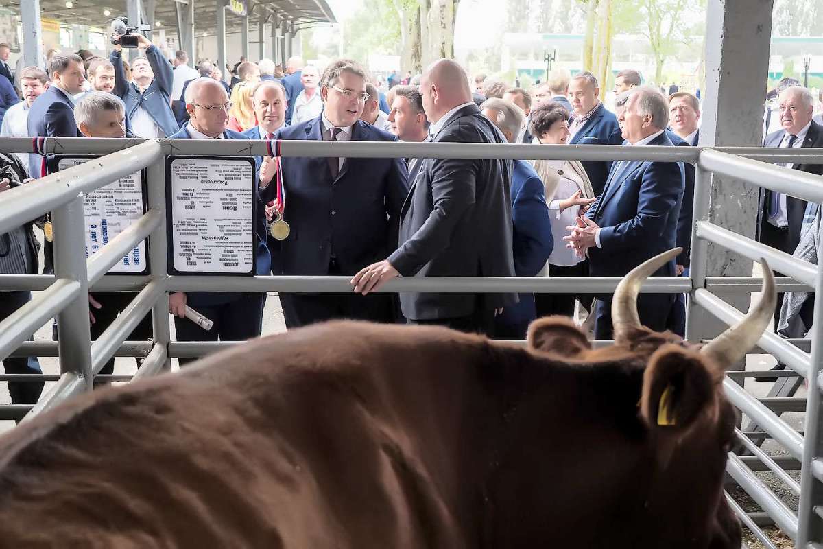 апк ставрополья