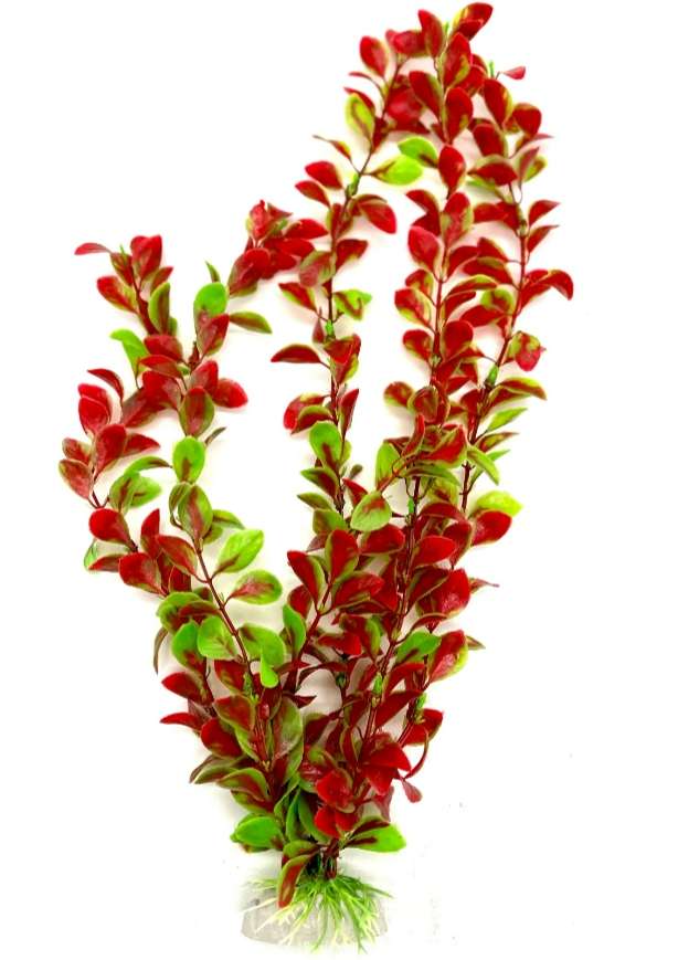 Растения для Аквариумов И Террариумов 40 см