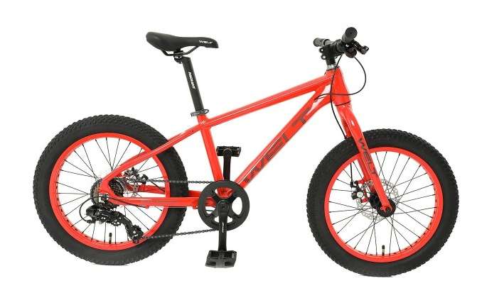 Фэтбайк Welt Fat Freedom 20 (2021)