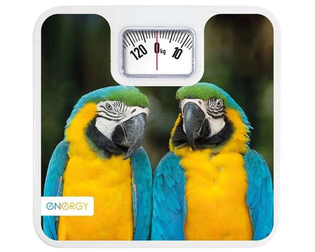 Весы напольные механические ENERGY ENМ-409H