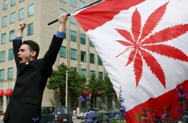 в канаде разрешили марихуану